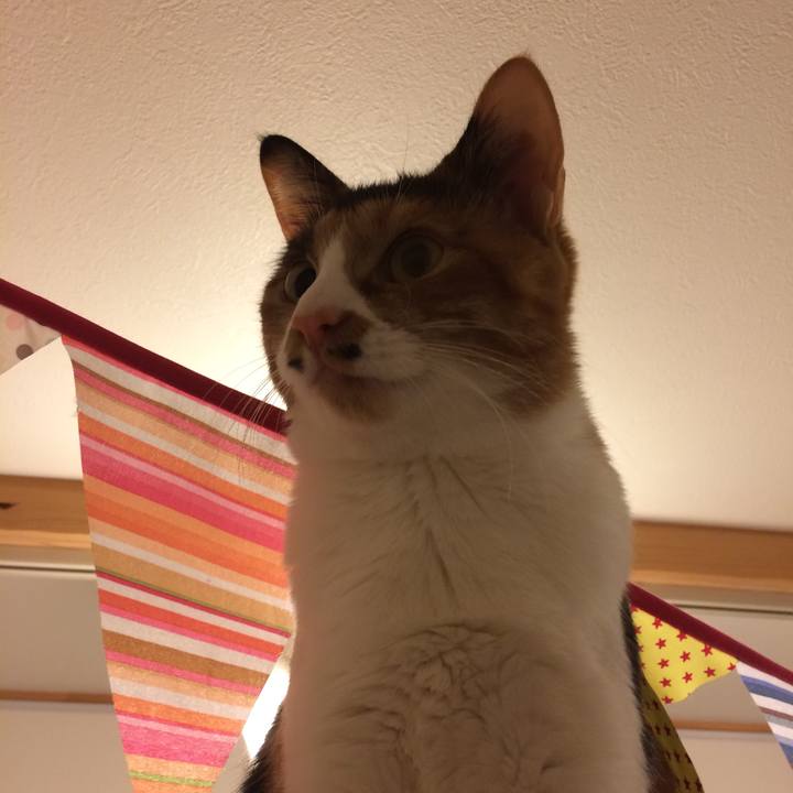 F8f16032 d082 44d6 8059 821a77062aa7