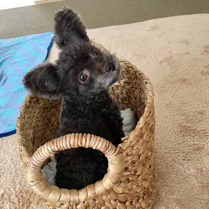 F8f1ec0b ca14 4fd6 9db7 1e6d0fa57fd2