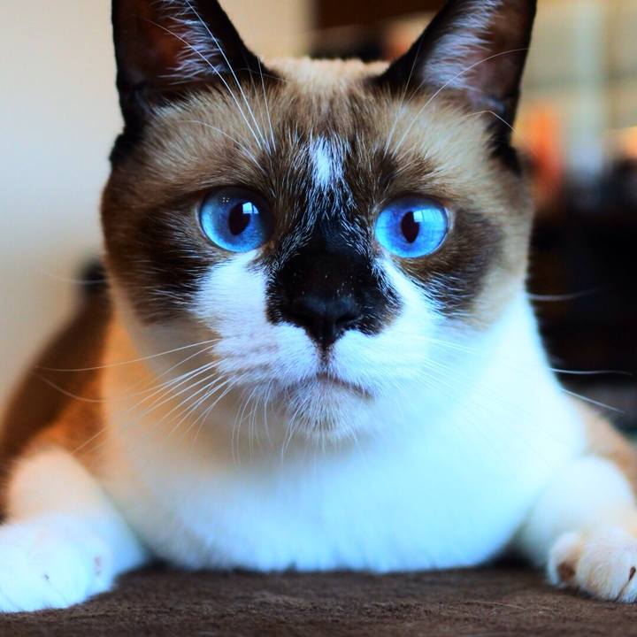 F8f22d7a c357 4091 a0a4 9ca32bcba875