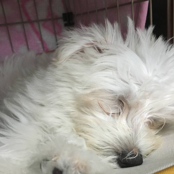 F8f25701 83c8 484d a3b6 98ee829ba023