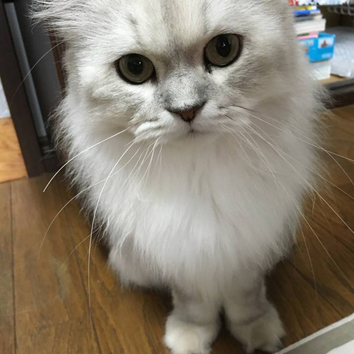 F8f2a71a 954e 4804 b09c d9d4ad98ed8d