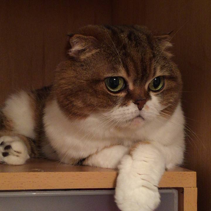 F8f33472 0e50 4853 9640 45886d69df8d