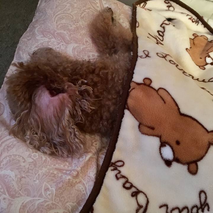 F8f39fc0 11b6 4da8 b123 a3b0a27240e3