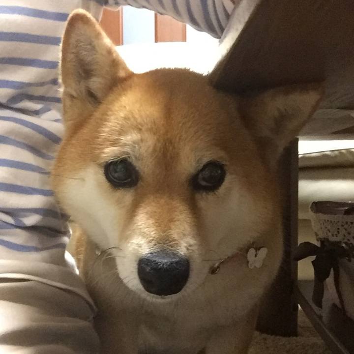 F8f3a37d afea 4d5b 952a f32490262078