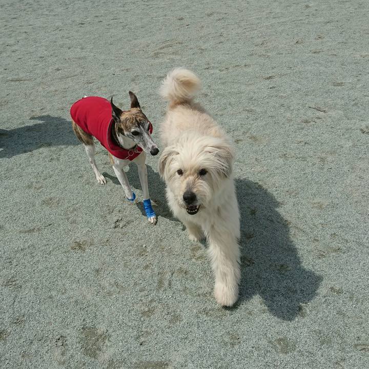 F8f43cdc 4bbe 4974 8dd2 3d013bfd23ce