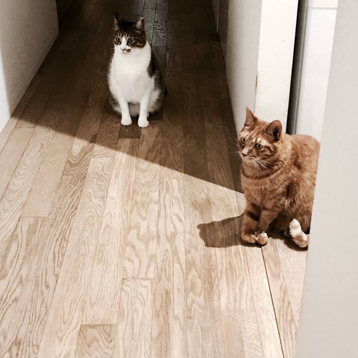 F8f44263 6604 45c5 bbd5 0116d8a17d12