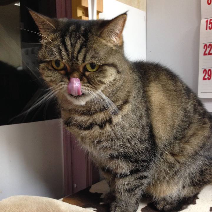 F8f50b84 1f8d 4f58 b6db f628ce72ac53