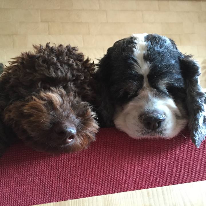 F8f51767 77c6 4baa 92ed 054983e0af16