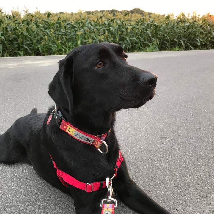 F8f5f7d7 d518 43c9 a663 60994efc4195