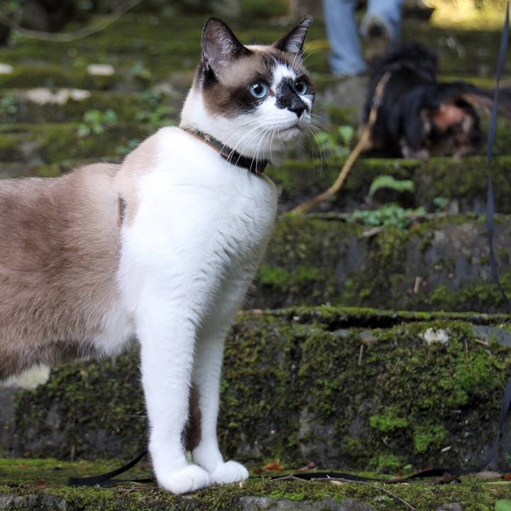 F8f61ca6 053f 490c b066 bbc023c68056