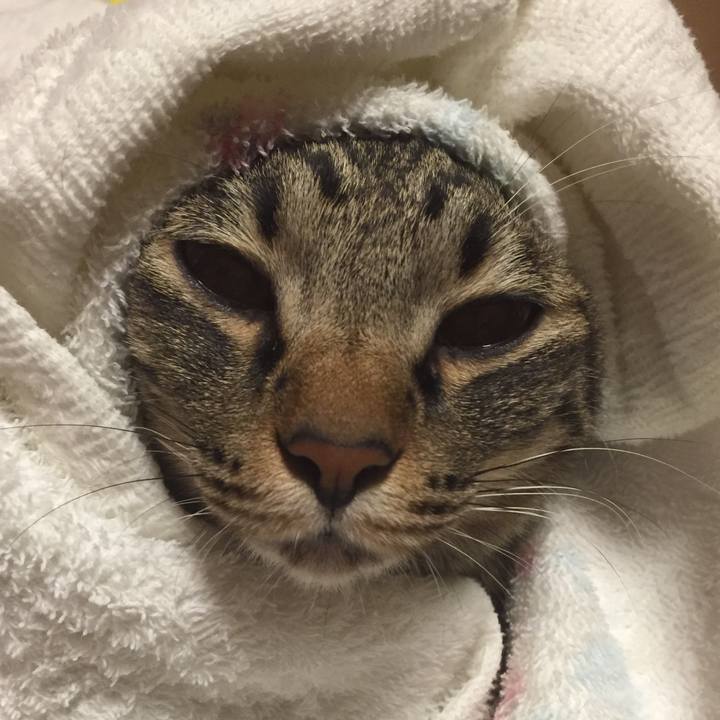 F8f63469 2335 4c75 a57b e575c70ad3be