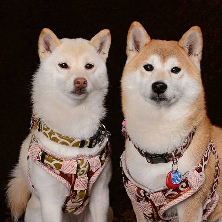 F8f65ead 4d7e 467d 9bf0 2d05b7e4868e