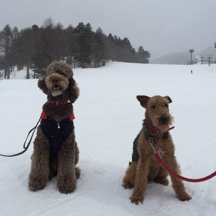 F8f67a4c 5e5b 463f bd93 f7bc3cf4c043