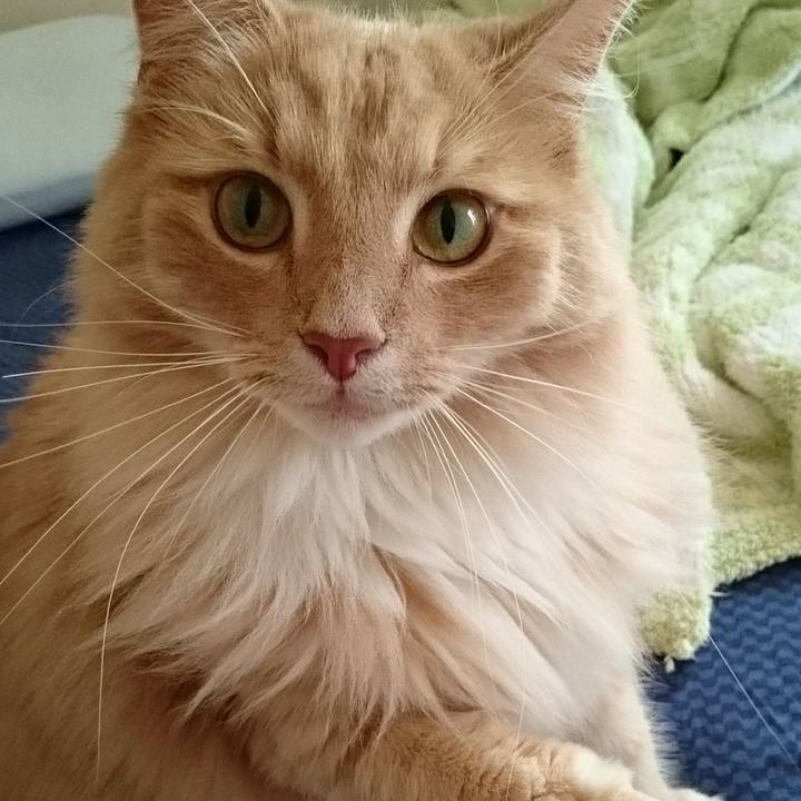 F8f6d750 a174 4fa7 a1c9 11a96c4888f7