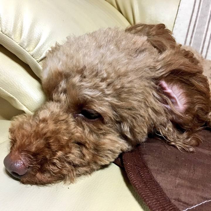 F8f729c6 81a1 4975 8479 c6f9cc7f42df