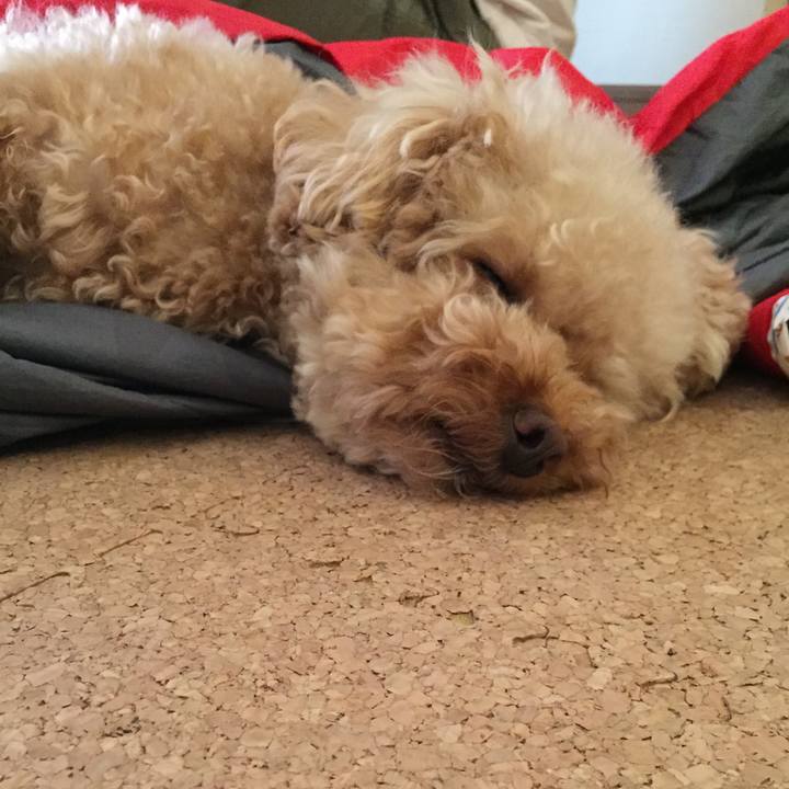 F8f77e6e e63e 48c2 a9f4 d01063f47a1a