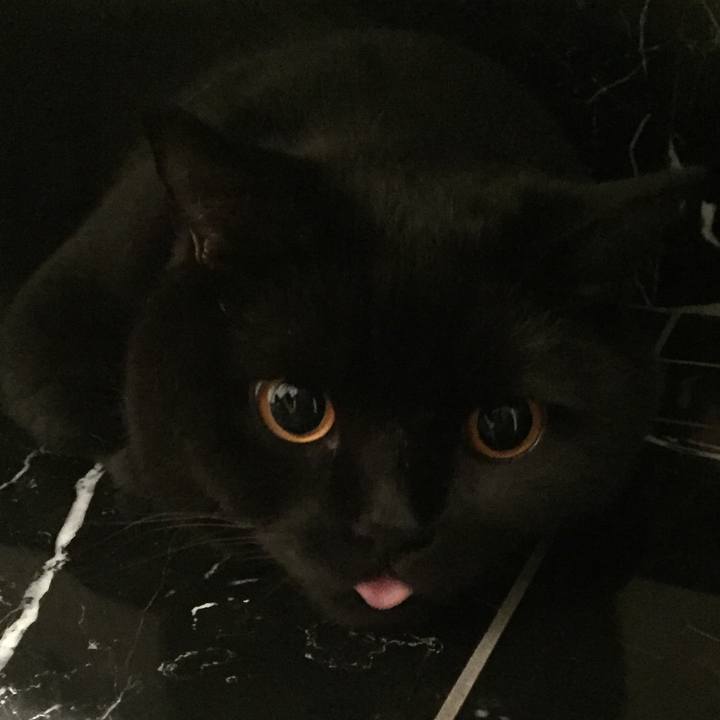 F8f7b4be b43b 4507 94d7 fd32b84cf0af