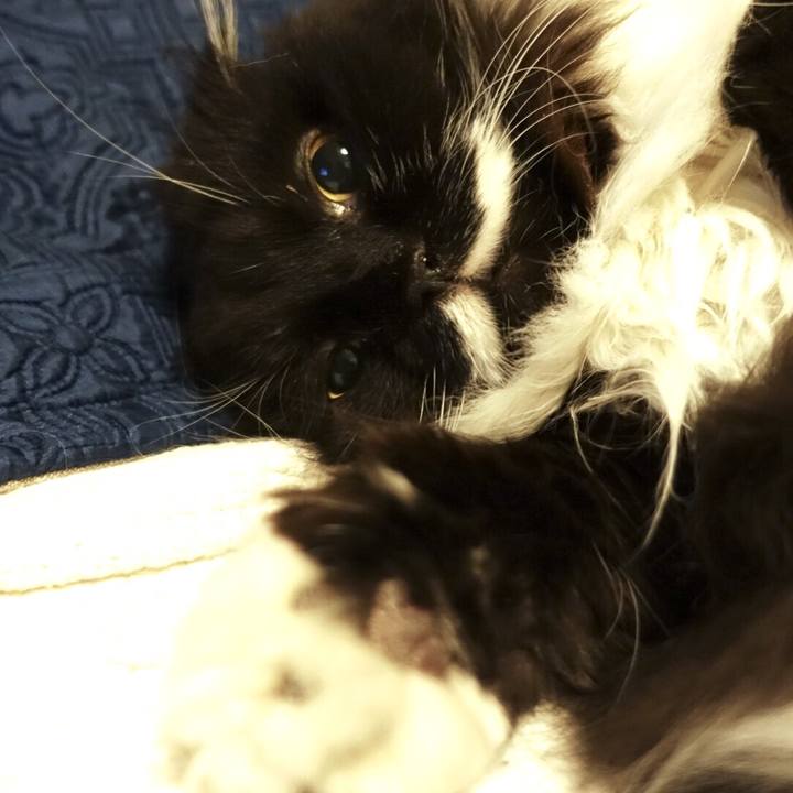 F8f7be53 dad2 4d3f 9ddd 994d5ff50845