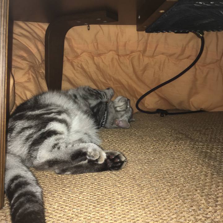 F8f88943 fe83 471a 97d6 30de7326c174