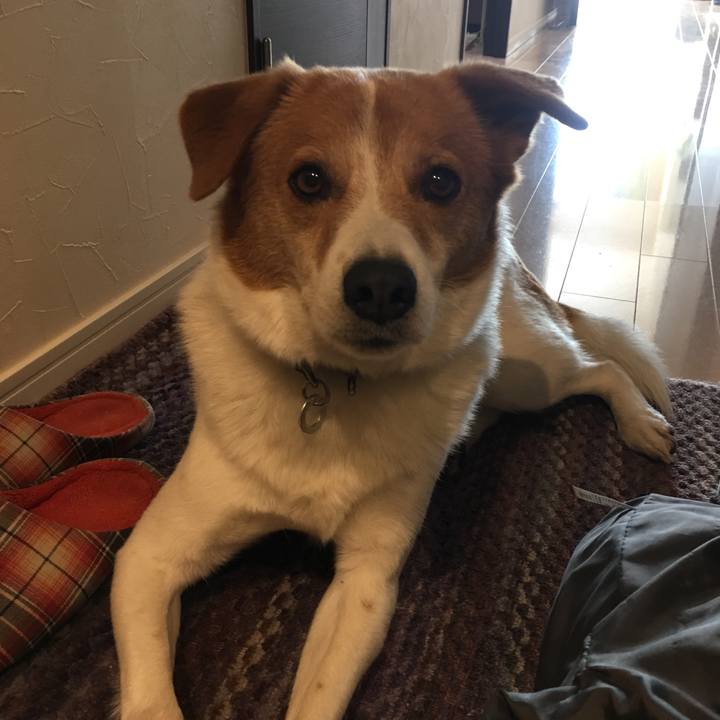 F8f896c9 7573 42f1 8faa 5769e6e5ab81