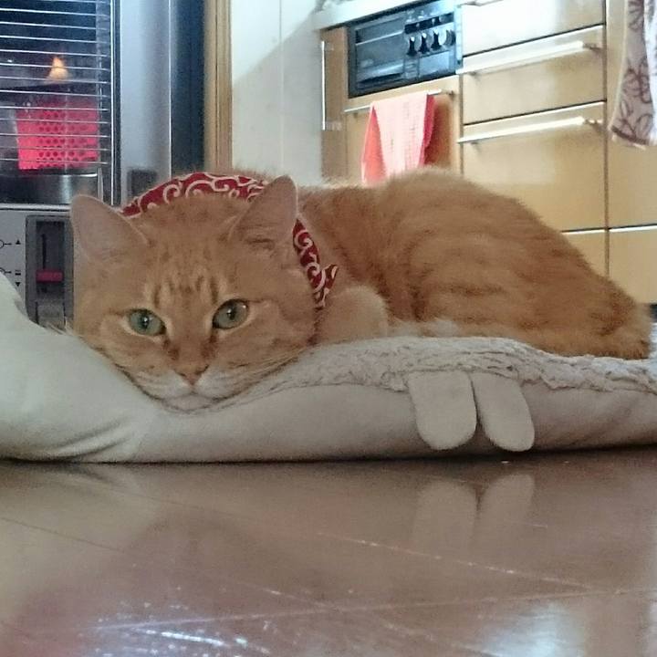 F8f8fa07 13b6 4563 83e7 2a2d70ea0288