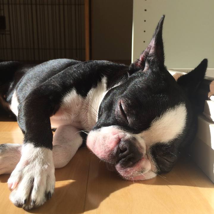 F8f91fcb cfc6 4d12 8fde 0c275d6636a2