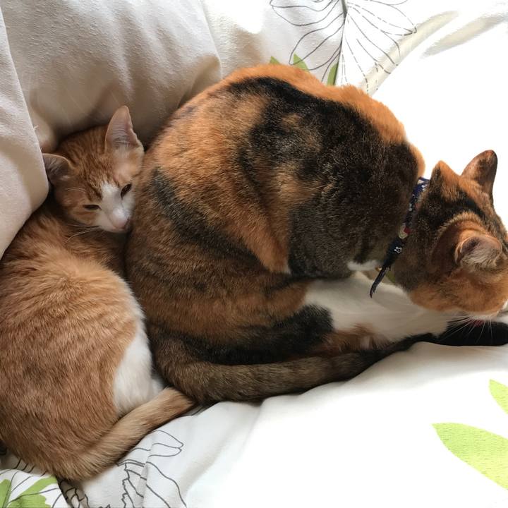 F8f92e25 cec4 48ac 8e8e 2fdd5d35e222