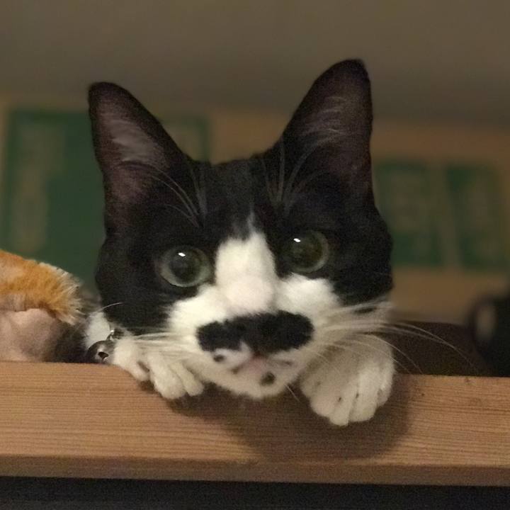 F8f9c595 024e 4d19 bec6 21dcb80709b4