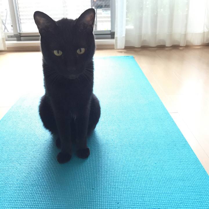 F8f9efa5 3234 46ab 8ab7 05ab00ae9ba3