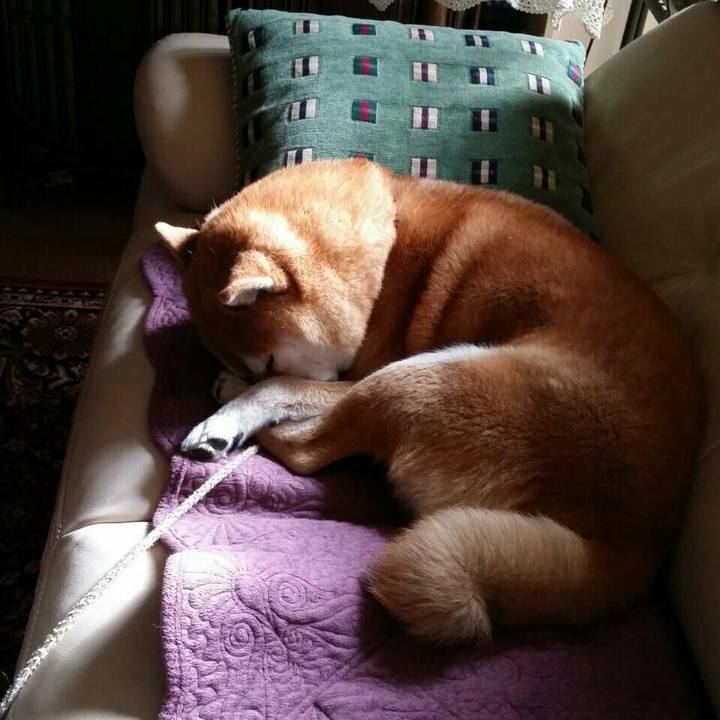 F8fa01be b74b 43c2 842f 2066834de79c