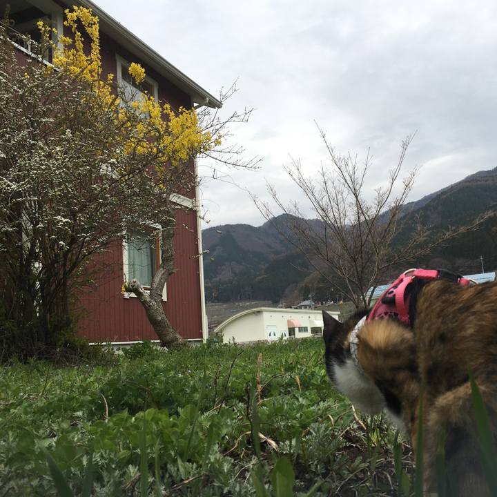 F8fa9136 459e 47b9 9a9c e8e5745c70b2