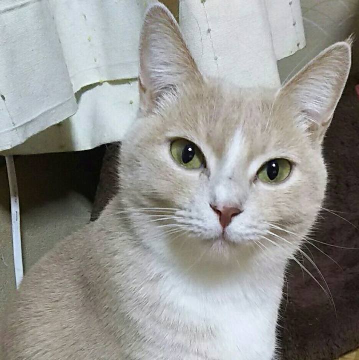 F8faae32 3379 4f57 8f86 7237f910793d