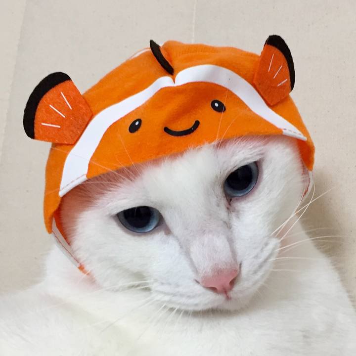 F8fab9c1 2349 4b22 b4b4 abce20a1be9f