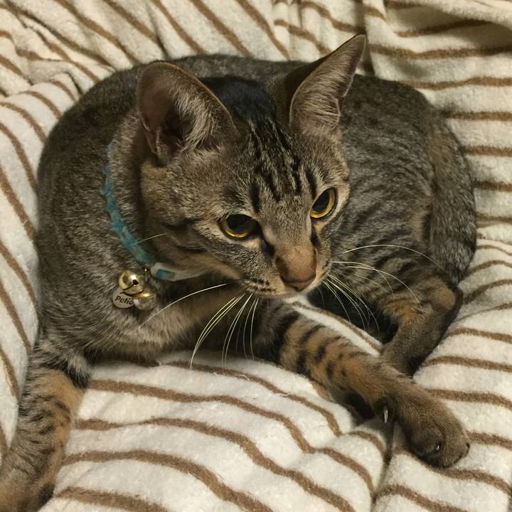 F8fbd84a 631e 49e5 8841 2e827214b4ac