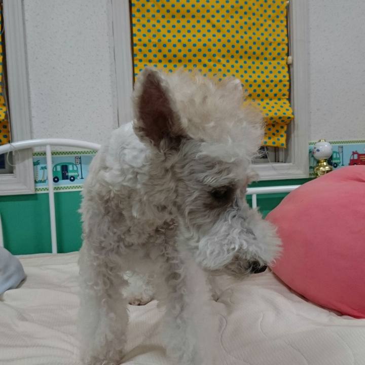 F8fc2e73 c826 402e 82cd 6c21e8565f7d