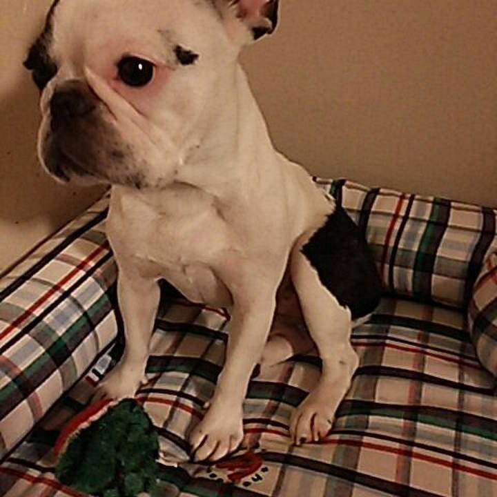 F8fc671e b8c6 471b a839 da259a45dbc8