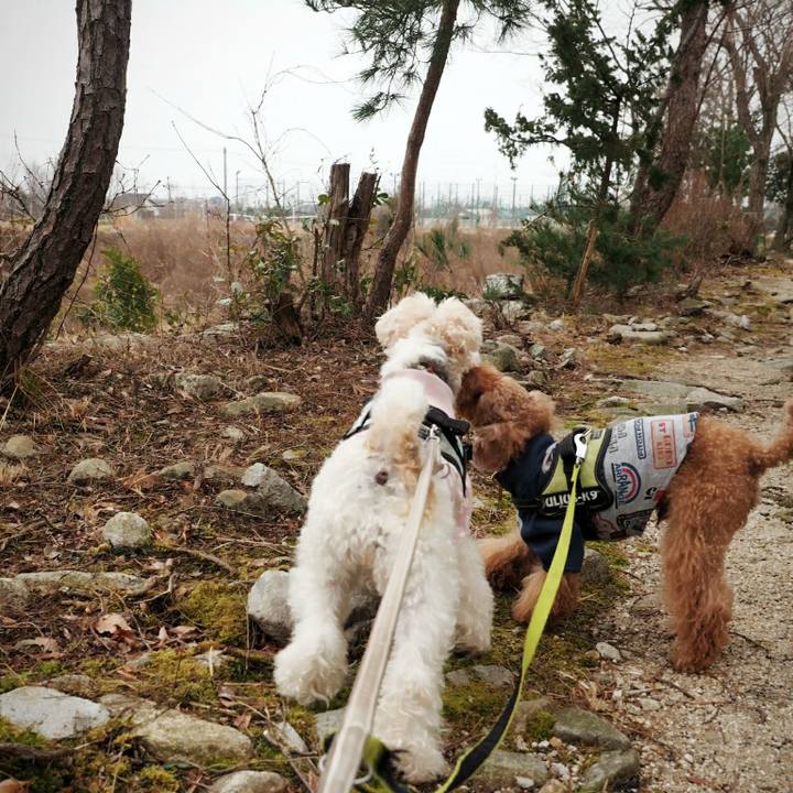 F8fcc4be 2870 4729 85d7 fcc3cd974fac