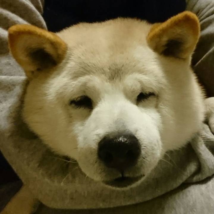 F8fd3e61 0f5b 4e32 a551 1e0687d25157