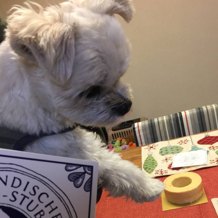 F8fd8d26 e90f 4fd9 a93e bda8c1f47f50