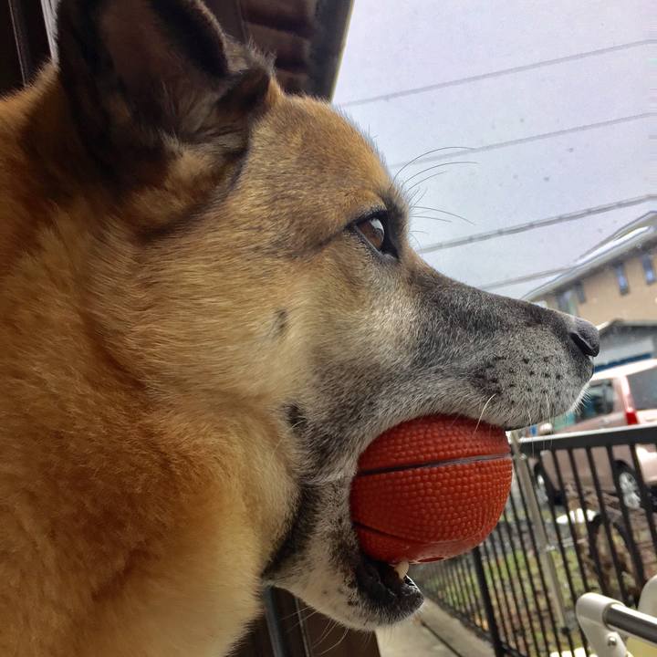 F8fe2d78 a18f 4ddd 9574 36332035bde4