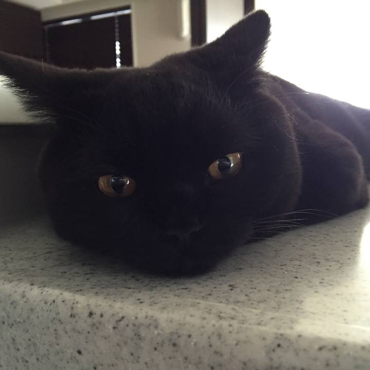 F8fe730e 8819 4ac4 9af8 cba1ae2fe9b5