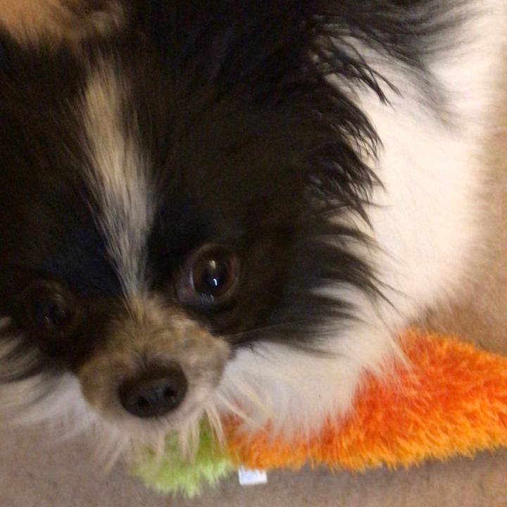 F8fe9fe2 e08a 4793 9332 fc8c0d13bb5c