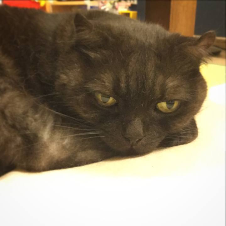 F8fea7c4 419f 466a a329 b75bc943d664