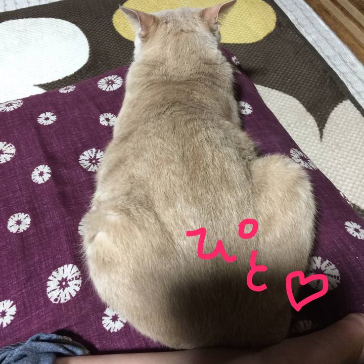 F8fee53e 089f 4944 91ec 4ed91e6f3c17