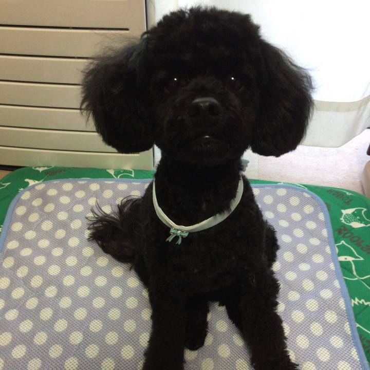 F8feee68 203b 4ac8 8249 dba29aafaeb5