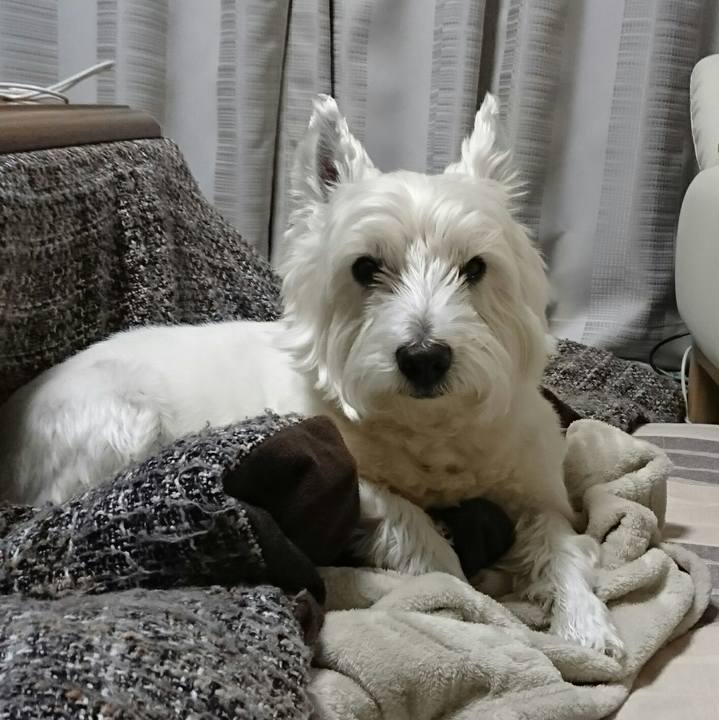 F9001c2e 75d7 4631 bb0b 3d79b81fab91