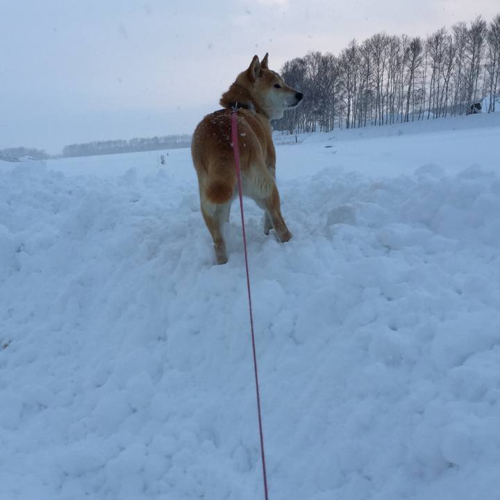 F9005b85 6783 4df9 836a 86bdfbb60c15