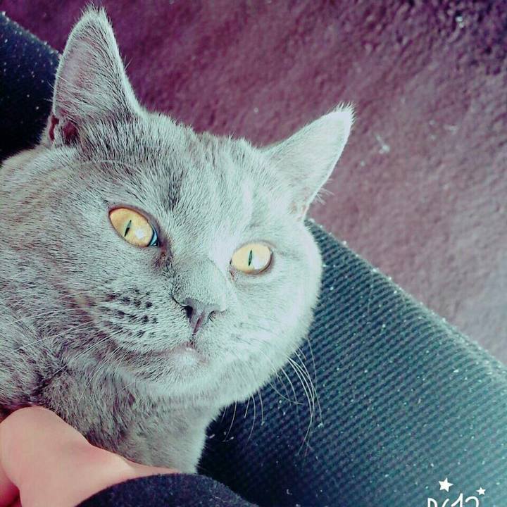 F9008c02 4e2b 43dd a8ae 215d24513b23