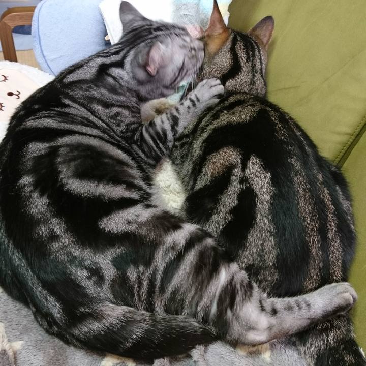 F9008c84 6fcb 48a6 a900 4f0fd864c4bb