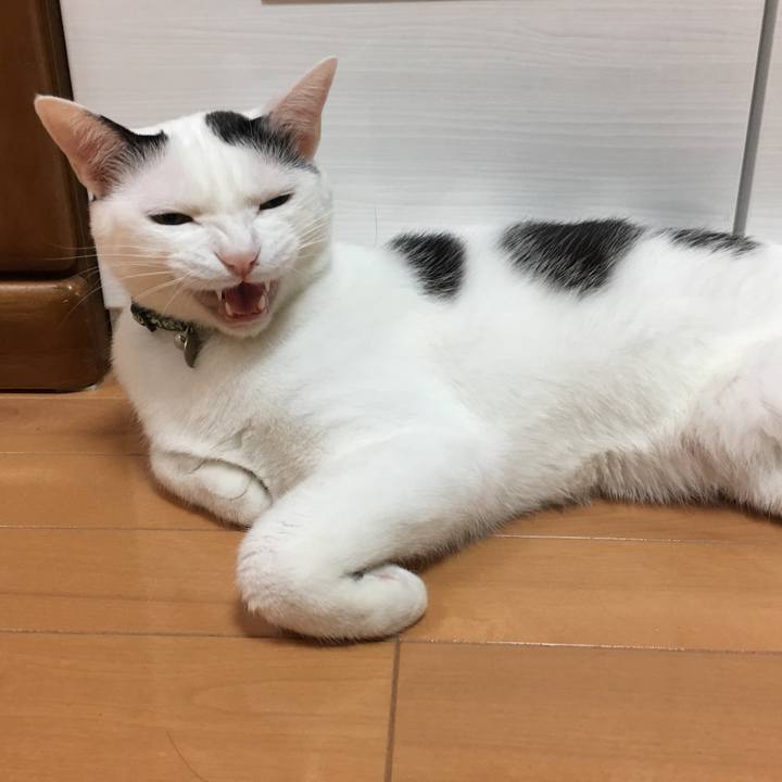 F90117fe 0fb6 4b1d 910d ecea97bd6ce3